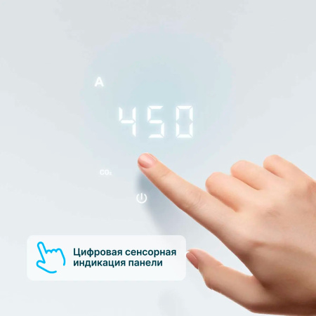 Tion BioX SM Standard