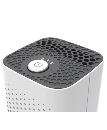 Boneco P50